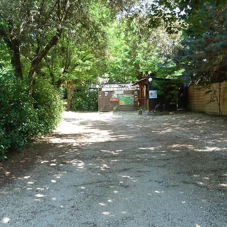 L'oasis 2*